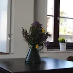 Cedofeita