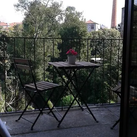 Cedofeita * بورتو