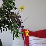 Cedofeita